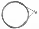 attribute